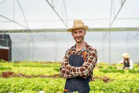 Owner of the hydroponics vegetable garden is checking the quality of the Foto stock