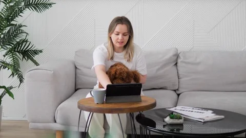 Owner maltipoo masterfully controls tablet with pet in arms. Easily manipulating Stock Footage 267594768
