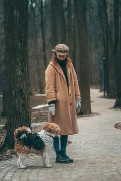 Owner playing with her wire-haired fox terrier in a park outdoors. Stock Photos