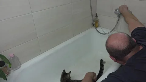Owner Talking to Curious Cat in Bathroom Bathtub Stock Footage 336542105