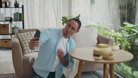 Owner Talking on Smartphones Camera about Albino Python Wriggling on Table Stock Footage 304540604