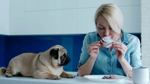 The owner teasing the dog with a bun Stock Footage 88180248