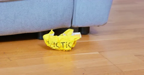 Owner throws crumpled warning paper near grey armchair Stock Footage 233652277