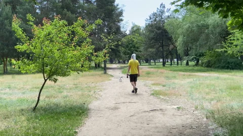 Owner with white dreadlocks walking with dog together in park Stock Footage 155067275
