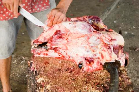 Ox head Stock Photos