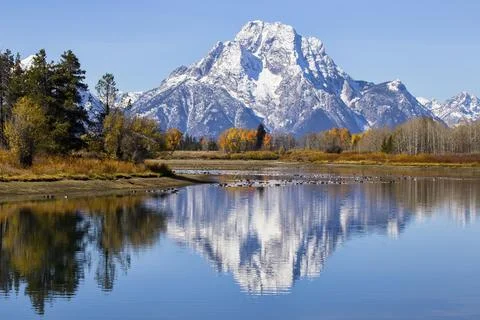 Oxbow Bend featuring Mount Moran and fall colors Stock Photos