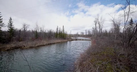 Oxbow in Griffith Woods Park, Beaver Dam &amp; Flying Birds in Background, Wide Shot Video stock 306911076