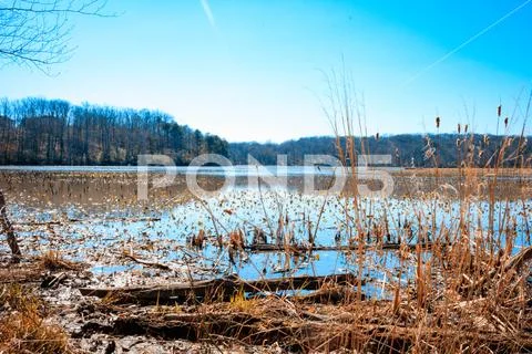 Oxbow Lake Stock Photos