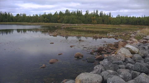 Oxbow lake&amp;stones1 Stock Footage 1052393