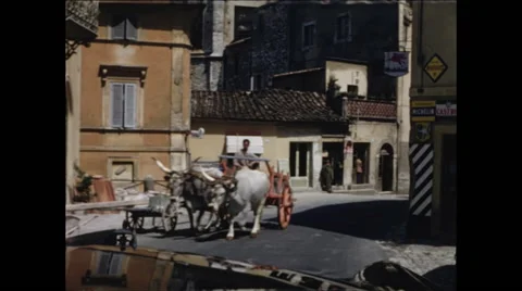 Oxen in Assisi Video stock 47971941