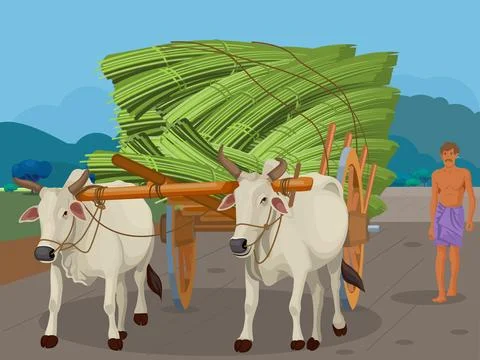 Oxen Pulling a Huge Load On a Cart Stock Illustration