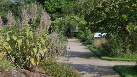 The Oxford Botanic Gardens Stock Footage 161435771