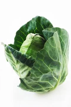Oxheart Cabbage Stock Photos