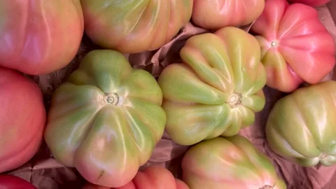 Oxheart tomatoes arranged in box Stock Footage 280197058