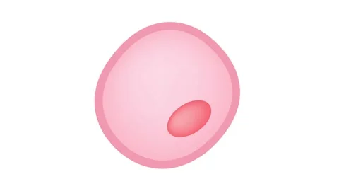 Oxidative Stress cell vector / free radical 스톡 동영상 133116366