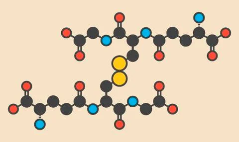 Oxidized glutathione molecule Stockillustratie