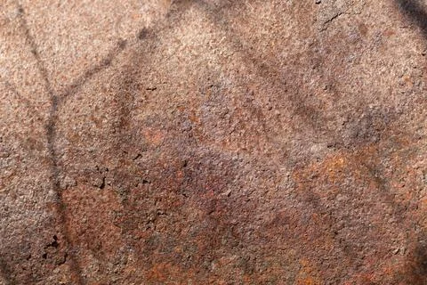 Oxidized metal with tree shadow. Surface corroded metal reflecting tree shado Stock Photos