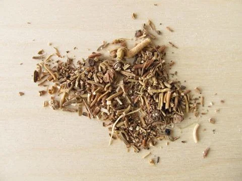 Oxlip root, Primulae radix Stock Photos