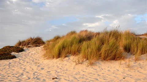 Oxnard Beach Stock Footage 25845264