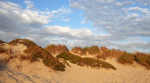 Oxnard Beach Stock Footage 25958610