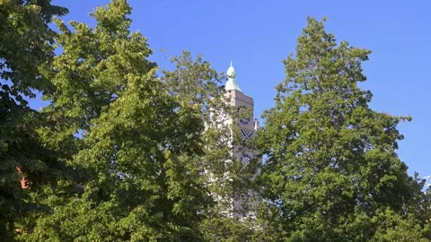 Oxo Tower Clock Partly Hidden Behind Summer Green Trees Stock Footage 345010624