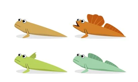 Oxudercinae ; Mudskipper in vector art, side view Stock Illustration