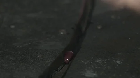 Oxyacetylene welding Stockbeeldmateriaal 82578666