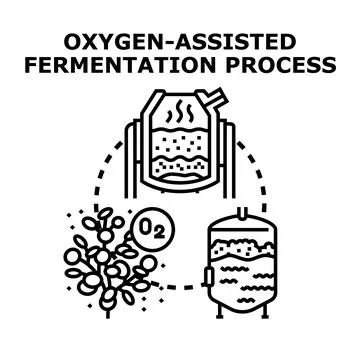 Oxygen assisted fermentation process bio production concept Stock Illustration