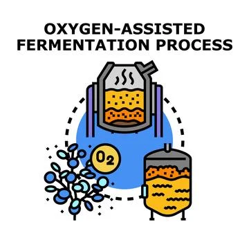 Oxygen assisted fermentation process bio production concept Stock Illustration
