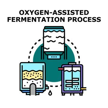 Oxygen assisted fermentation process in bioreactor icon Stock Illustration