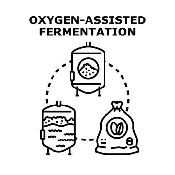 Oxygen assisted fermentation process for brewing production Illustrazione stock