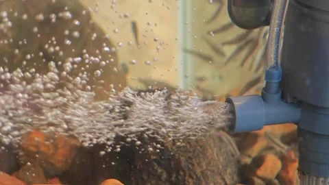 Oxygen bubbles for fish tank. Stock Footage 305973265
