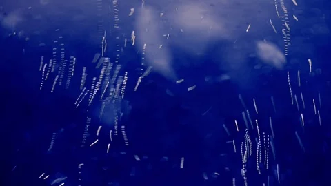 Oxygen bubbles  floating  in water Video stock 79731817