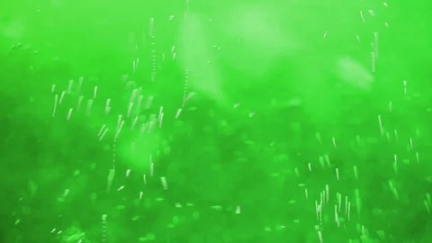 Oxygen bubbles  floating  in water Video stock 79732611