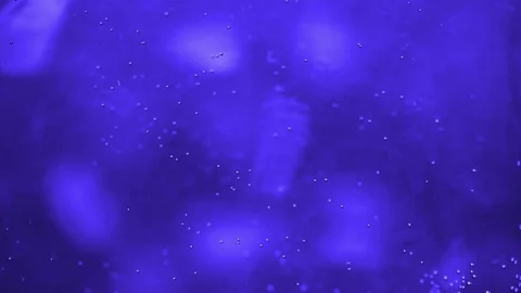 Oxygen bubbles  floating  in water Video stock 79732856