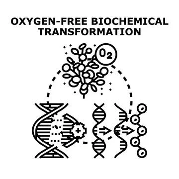 Oxygen free biochemical transformation process in living organism 스톡 일러스트