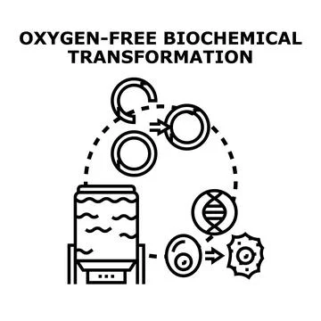 Oxygen free biochemical transformation process vector illustration Stock Illustration