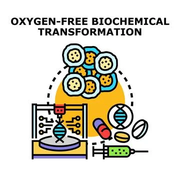 Oxygen free biochemical transformation process in laboratory Stock Illustration