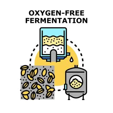 Oxygen free fermentation process for brewing production Stock Illustration