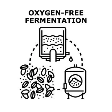 Oxygen free fermentation process for brewing production Stock Illustration