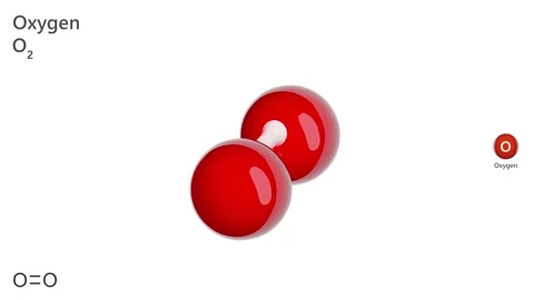 Oxygen. Gas. Animated 3D model of a molecule. O2. White background. 3D render Stock Footage 291862578