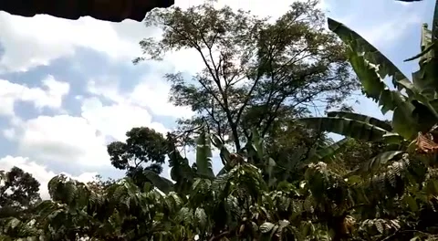 Oxygen generator down Video stock 222441811