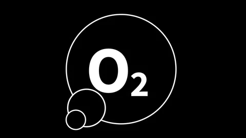 Oxygen icon animation 動画素材 315181674