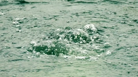 Oxygen leak diving background. Air bubbles in slow motion. Stock Footage 264779368