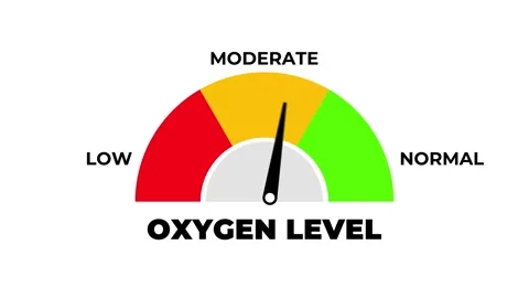 Oxygen Level Gauge Animation with Needle Moving To Low Moderate And Normal Video stock 320687734