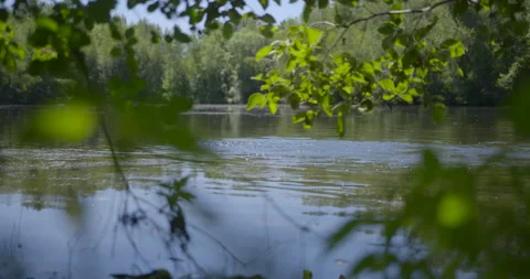Oxygenation of the lake view between the branches / Focus on water swirls Vídeo Stock 130909266