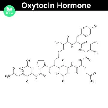 Oxytocin  hormone molecule Stock Illustration