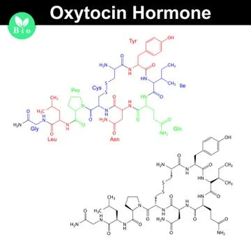 Oxytocin hormone molecule Stock-Illustration