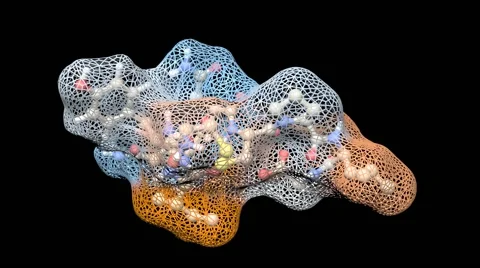 Oxytocin molecule solid surface and ball and stick molecular view Видео 63912251
