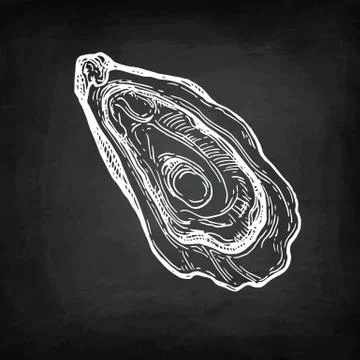 Oyster chalk sketch Stock-Illustration